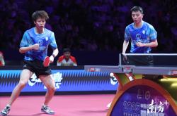 乒超联赛最新形势：多特蒙德高居榜首，北京首钢强势追赶，冠军归属成迷的简单介绍